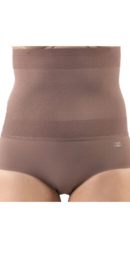 Brief With 8" Supportive Waistband - Haze