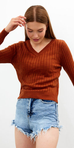 V Neck Ripped Basic Sweater Top - Brick